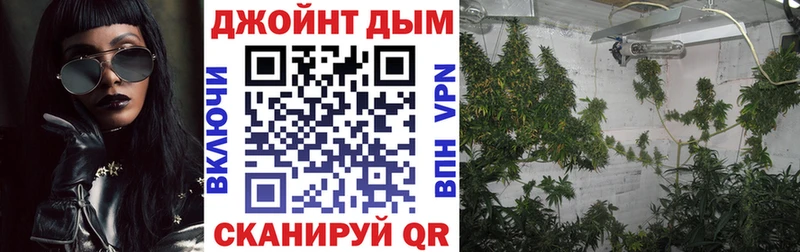 Марихуана OG Kush  Купить где  Карасук 